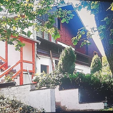 Pension Fischer Плауэн Экстерьер фото