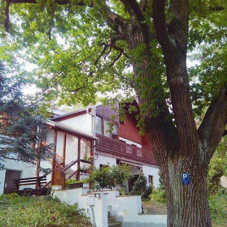 Pension Fischer Плауэн Экстерьер фото